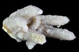Cactus Quartz (Amethyst) Cluster - South Africa #122360-1